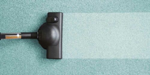 6 Best Models to Buy from Shark Vacuum