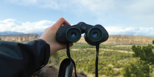 3 best binocular brands in the market