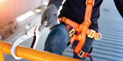 3 safety harness products to consider buying