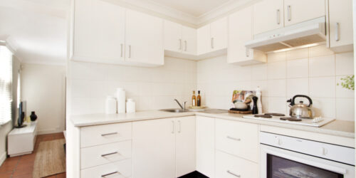 All You Need To Know About Kitchen Cabinets