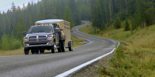 Chevy truck dealers – always making your life simple