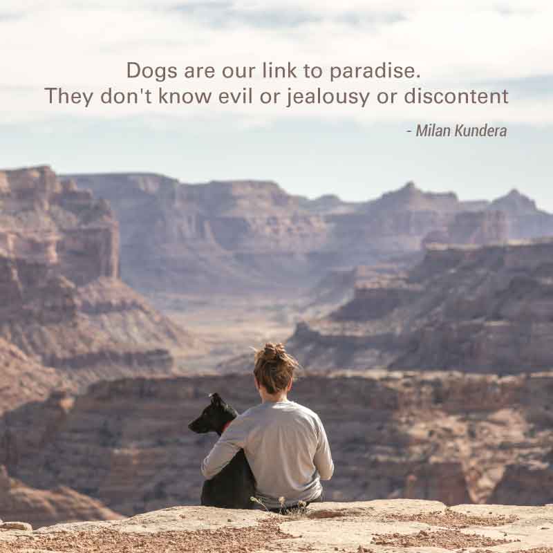 Dogs Are Our Link to Paradise. They Don’t Know Evil or Jealousy or Discontent