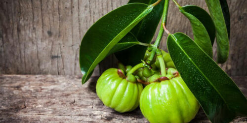Garcinia cambogia – Know what you consume