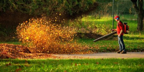 Guide to Choosing the Right Gas Leaf Blower