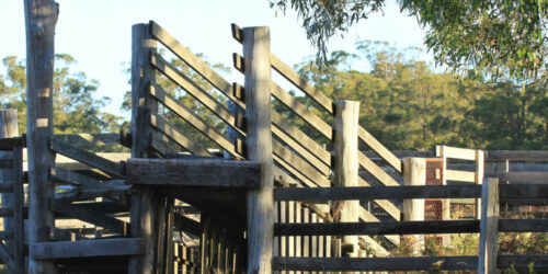 Here’s what you need to know about yard ramps