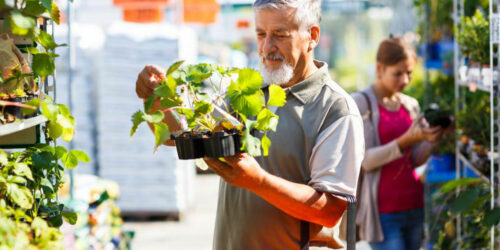 Love gardening? Here’s how you can start a garden in your backyard