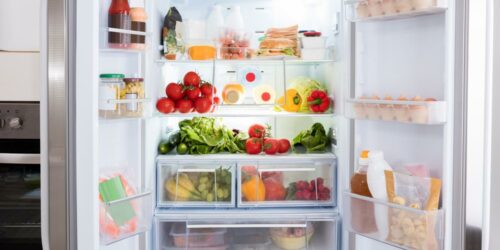 The best mini refrigerators
