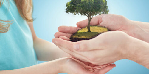 6 simple and effective ways to prevent climate change