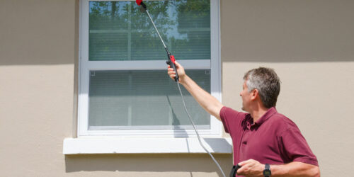 3 reasons to hire pest control companies