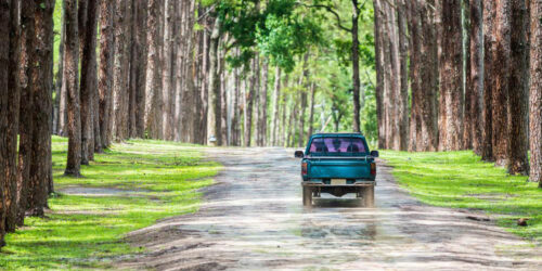 Here’s how useful pickup trucks are