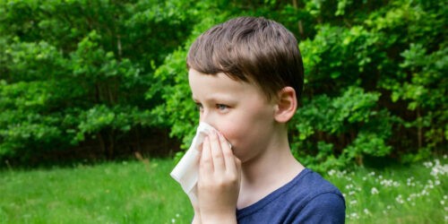 Here’s how you can get pollen allergy relief