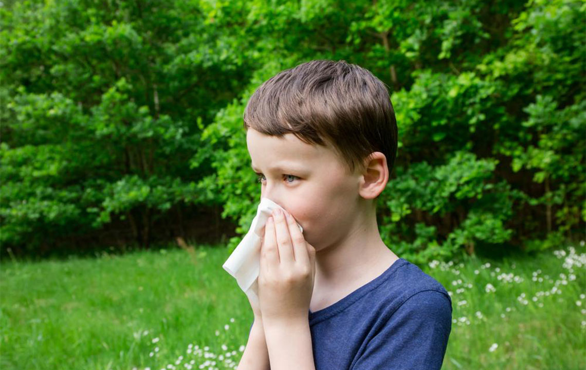 Here’s how you can get pollen allergy relief