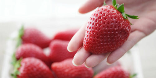 Natural compounds that can help prevent the risk of skin cancer