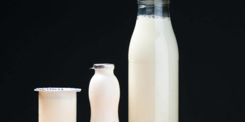 Probiotics – What you need to know about them