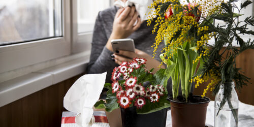 Ragweed allergy and its treatments