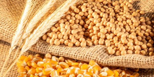 Rheumatoid arthritis – Foods to avoid