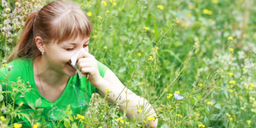 Simple and Easy Remedies for Seasonal Allergies