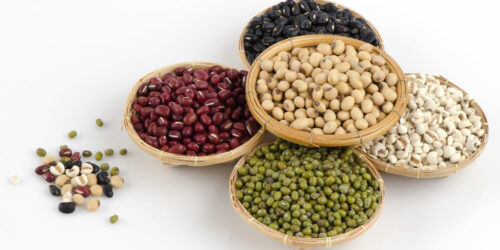 Top foods that promote bone health