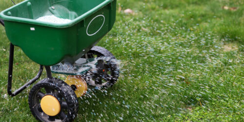 A Brief Guide to Fertilizing Bermuda Grass